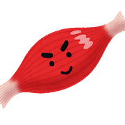 健康筋肉